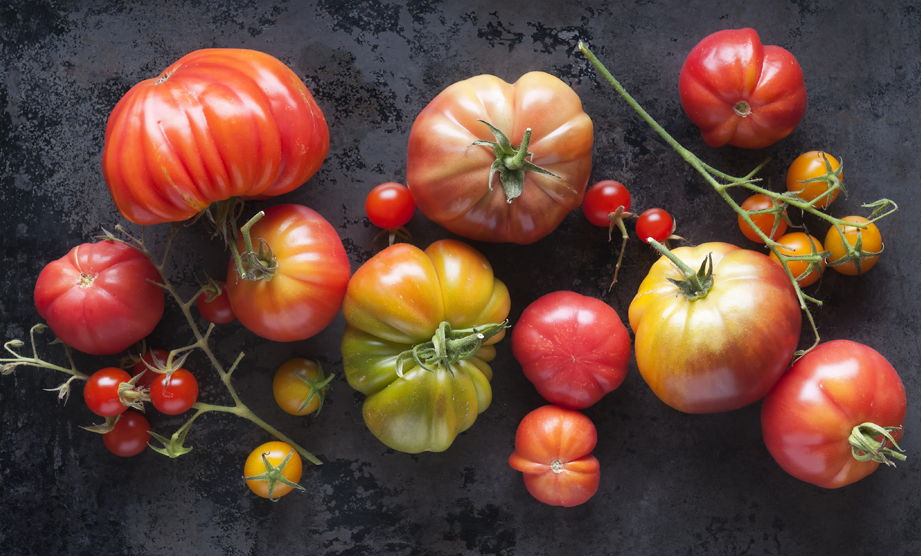Whats in Season: Tomatoes