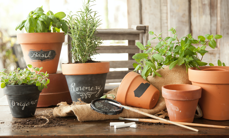 How-To: Make Chalkboard Herb Planters