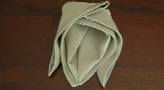 How to Fold Napkin Example 5