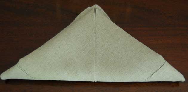 How to Fold Napkin Example 4