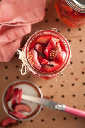 Rhubarb Refrigerator Pickles Recipe