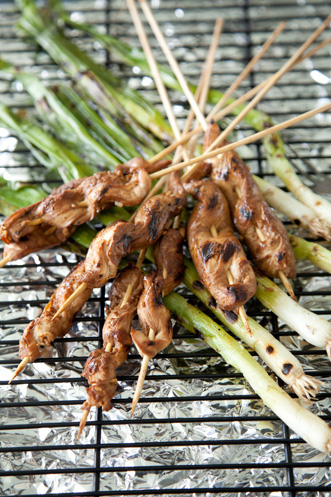 Chicken Kabobs With Grilled Onions Thumbnail