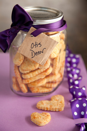 Cheesy shop dog biscuits