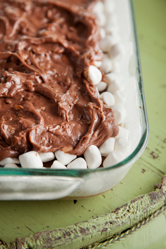 Mississippi Mud Cake - Tastes Better From Scratch