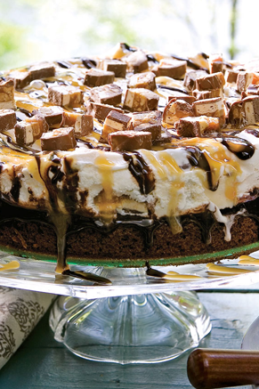 Ooey Gooey Chocolate Ice Cream Cake Recipe