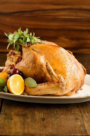 Best Oven Roasted Turkey Recipe - A Well-Seasoned Kitchen®