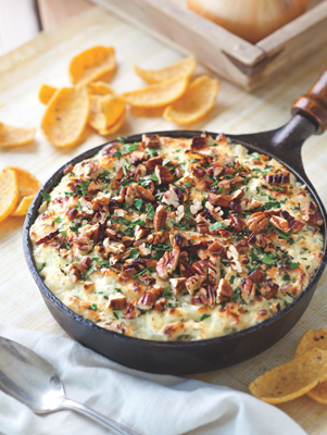 Vidalia Onion Dip