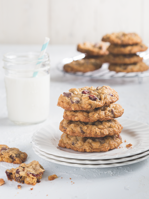 Chocolate Cranberry Pecan Oat Cookies Thumbnail