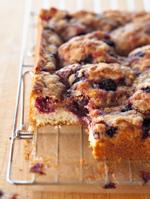Blackberry Coffee Cake with Streusel Topping Thumbnail