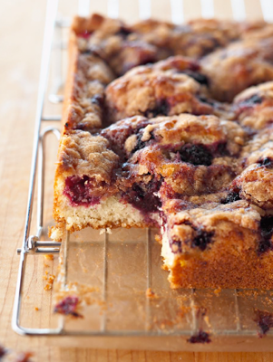 Blackberry Coffee Cake with Streusel Topping